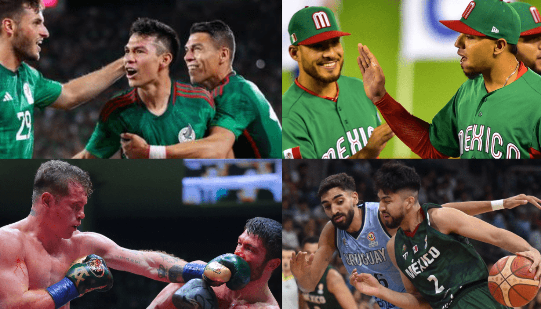 Los mejores deportes para apostar en México 2026